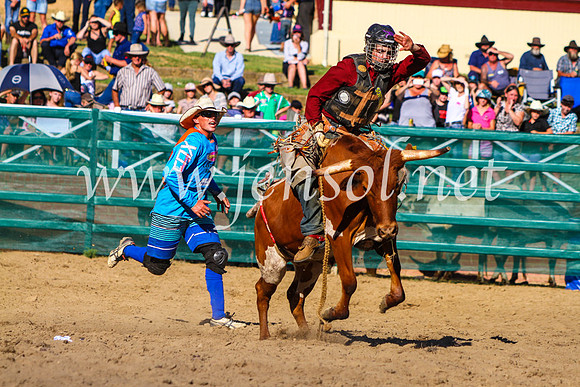 CoomaRodeo2017_9209