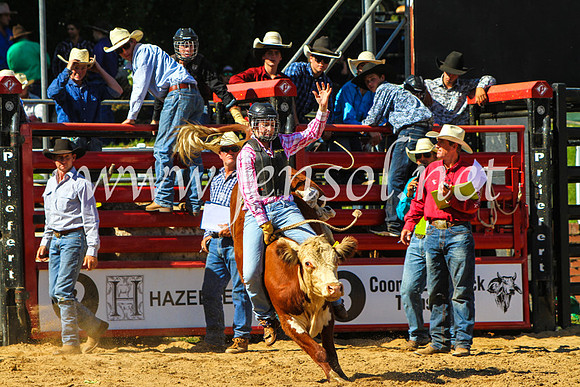 CoomaRodeo2017_9017