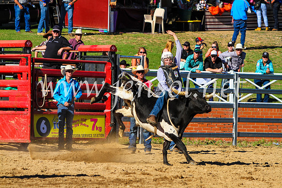 CoomaRodeo2017_9216