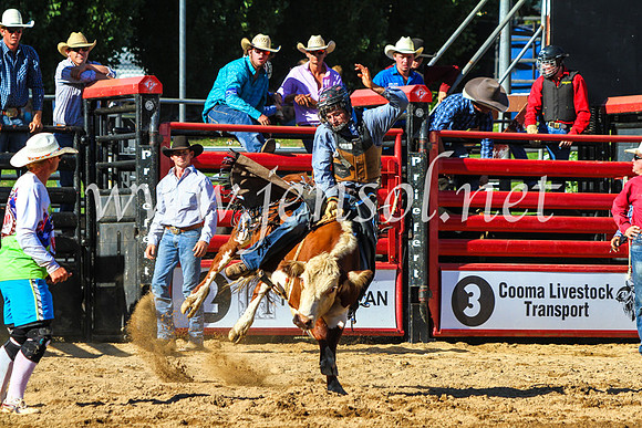 CoomaRodeo2017_9165