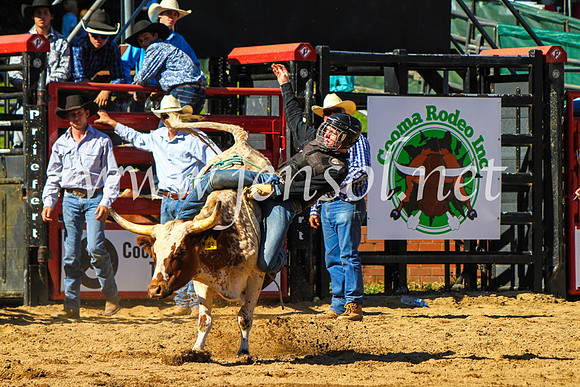 CoomaRodeo2017_9024
