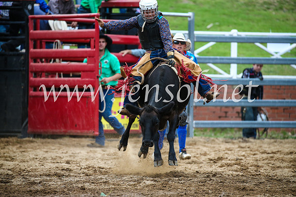 CoomaRodeo2017_1486