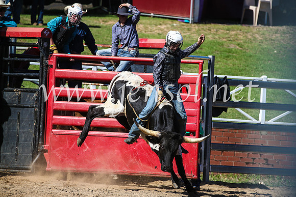 CoomaRodeo2017_2482