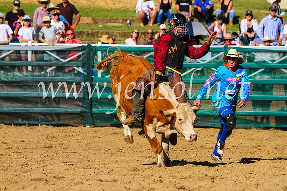 CoomaRodeo2017_9163