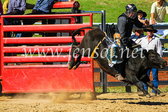 CoomaRodeo2017_9044