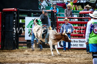 CoomaRodeo2017_1060