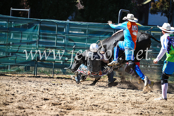 CoomaRodeo2017_2452