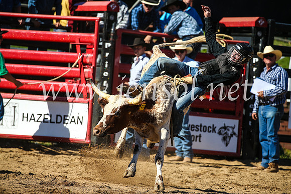 CoomaRodeo2017_2522
