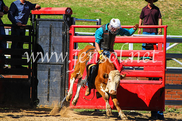 CoomaRodeo2017_9005