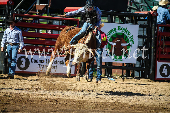 CoomaRodeo2017_2541