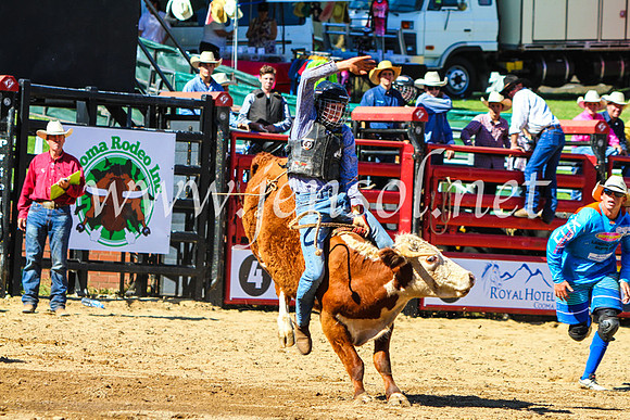 CoomaRodeo2017_9037