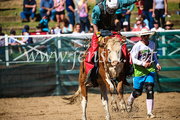 CoomaRodeo2017_2492