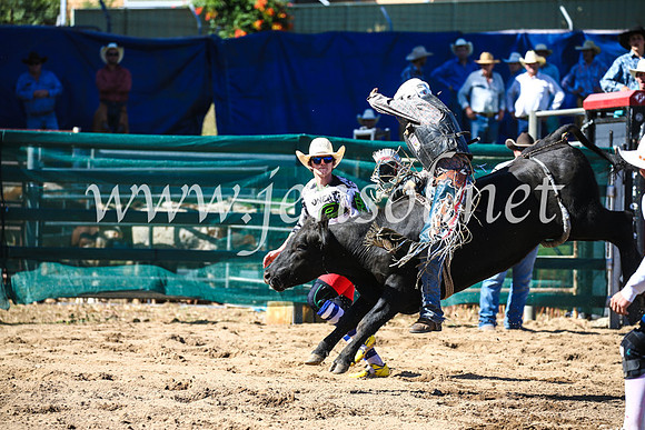CoomaRodeo2017_2448