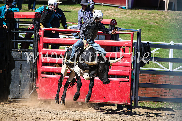 CoomaRodeo2017_2474