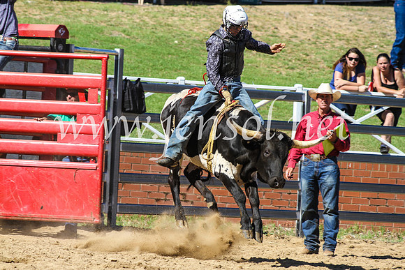 CoomaRodeo2017_9001