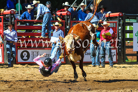 CoomaRodeo2017_9019