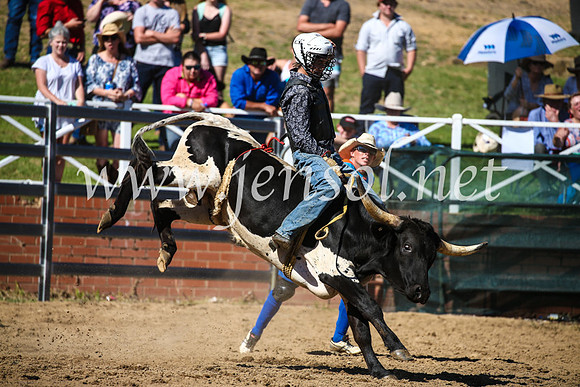 CoomaRodeo2017_2479