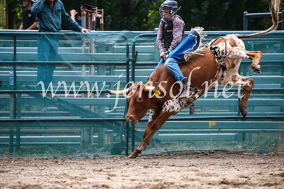 CoomaRodeo2017_1132