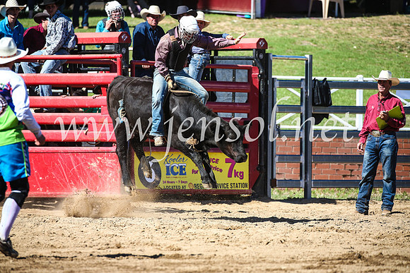 CoomaRodeo2017_2470