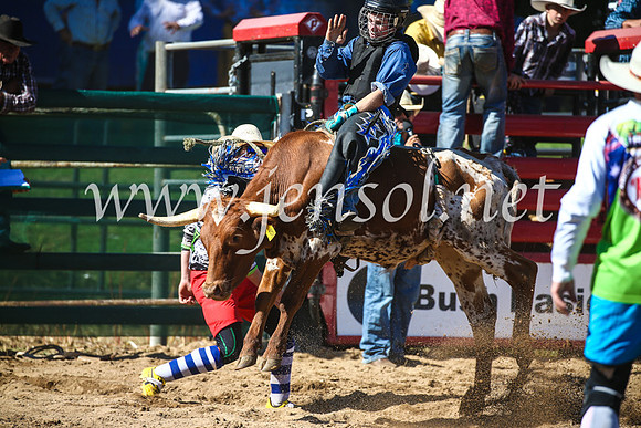 CoomaRodeo2017_2459
