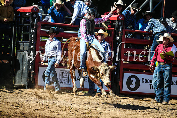 CoomaRodeo2017_2498