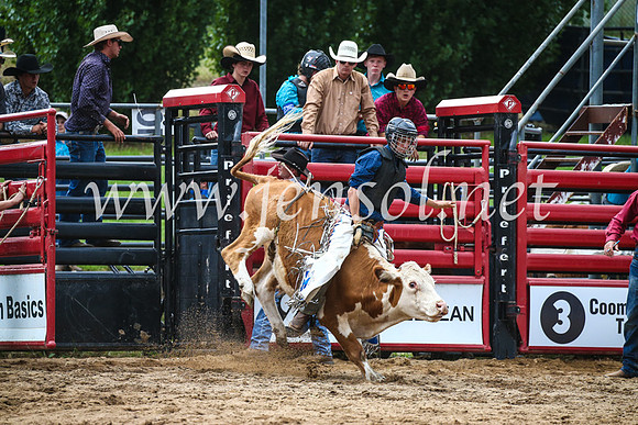 CoomaRodeo2017_1095