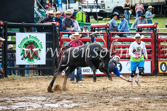 CoomaRodeo2017_1174