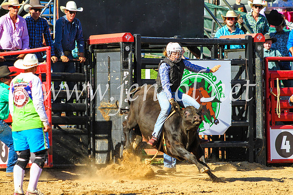CoomaRodeo2017_9197