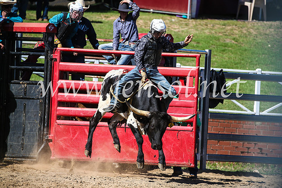 CoomaRodeo2017_2480