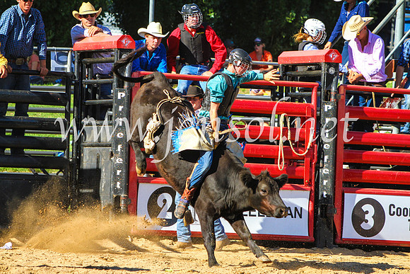 CoomaRodeo2017_9182