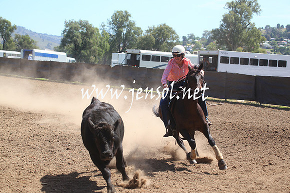 GundagaiGiddyup2013_5D_0251