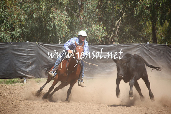 GundagaiGiddyup2013_5D_0196