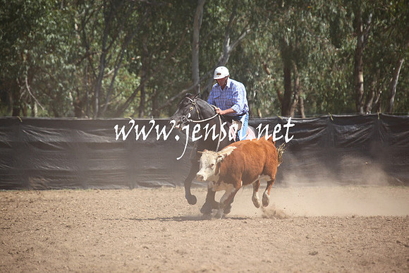 GundagaiGiddyup2013_5D_0416