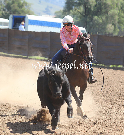 GundagaiGiddyup2013_5D_0249