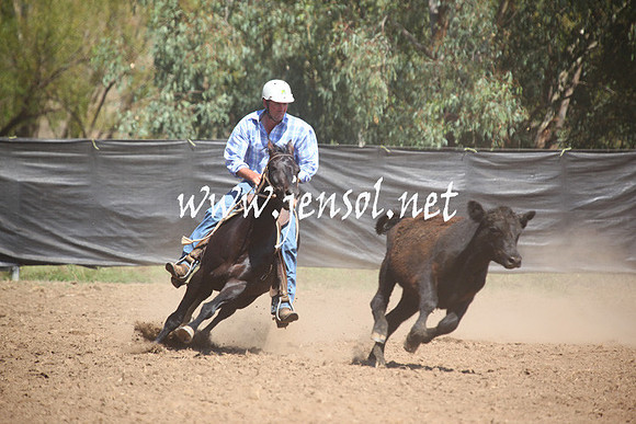 GundagaiGiddyup2013_5D_0217
