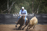 GundagaiGiddyup2013_5D_0033