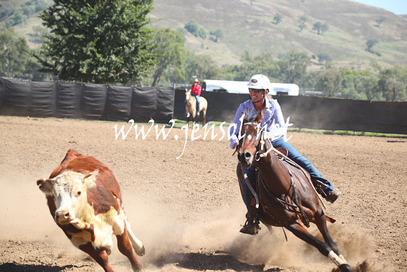 GundagaiGiddyup2013_5D_0133
