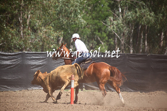 GundagaiGiddyup2013_5D_0044