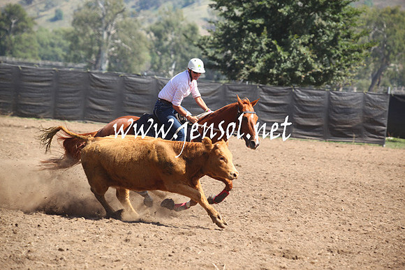 GundagaiGiddyup2013_5D_0043