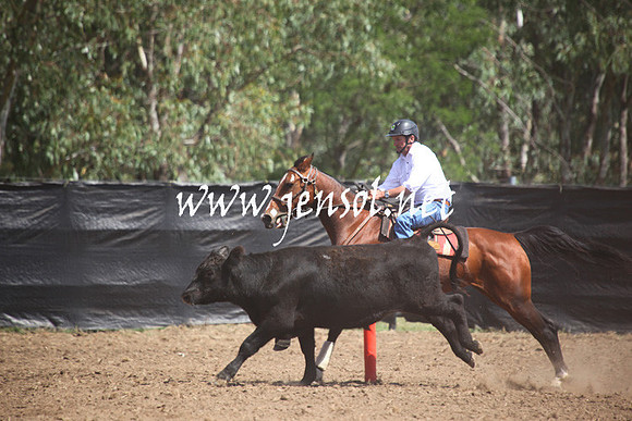 GundagaiGiddyup2013_5D_0182