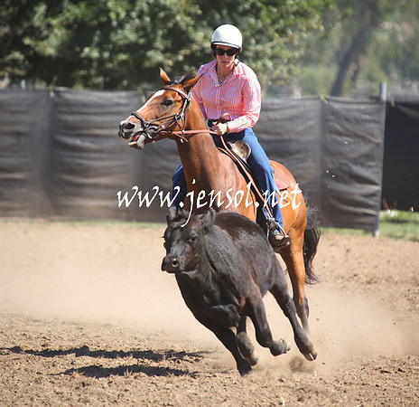 GundagaiGiddyup2013_5D_0083