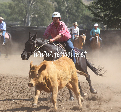 GundagaiGiddyup2013_5D_0236