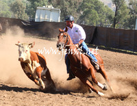 GundagaiGiddyup2013_5D_0010