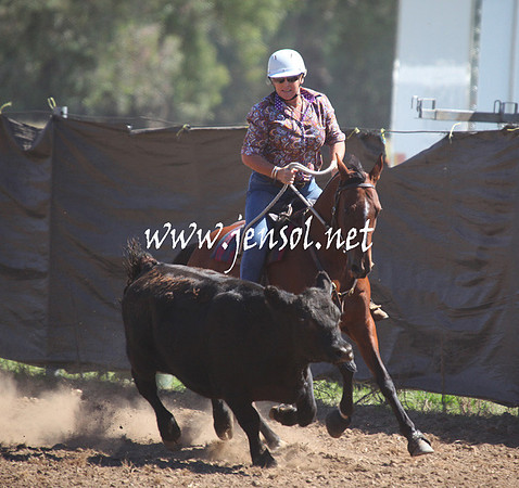 GundagaiGiddyup2013_5D_0113
