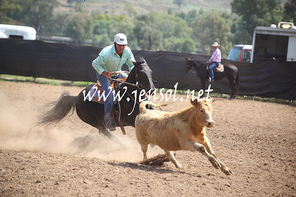 GundagaiGiddyup2013_5D_0302