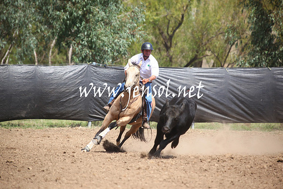 GundagaiGiddyup2013_5D_0365