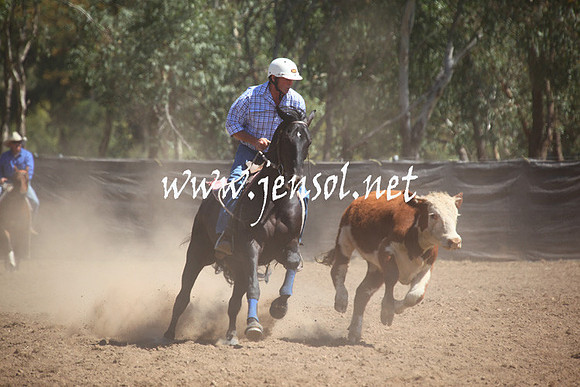 GundagaiGiddyup2013_5D_0418