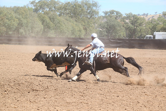 GundagaiGiddyup2013_5D_0176