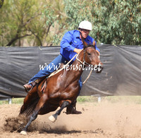GundagaiGiddyup2013_5D_0021