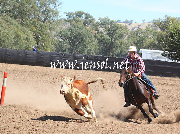 GundagaiGiddyup2013_5D_0160